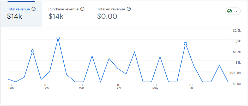 Total revenue January to June 2024